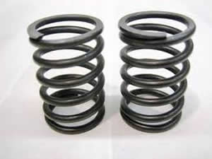 Valve Spring - 160 - Honda
