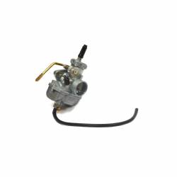 Carburetor, Animal Briggs and Stratton