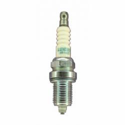 Spark Plug DR14ZC Animal Brisk