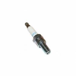 Spark Plug NGK - World Formula