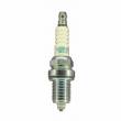 Spark Plug DR14ZC Animal Brisk