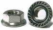 Lugnut 1/4-28 Serrated 12 pack