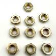 Jam Nut - 5/16-24 - Left Hand -10 Pack
