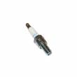 Spark Plug NGK - World Formula